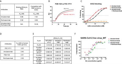 Preclinical characterization of amubarvimab and romlusevimab, a pair of non-competing neutralizing monoclonal antibody cocktail, against SARS-CoV-2